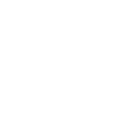 Captivating Canvases